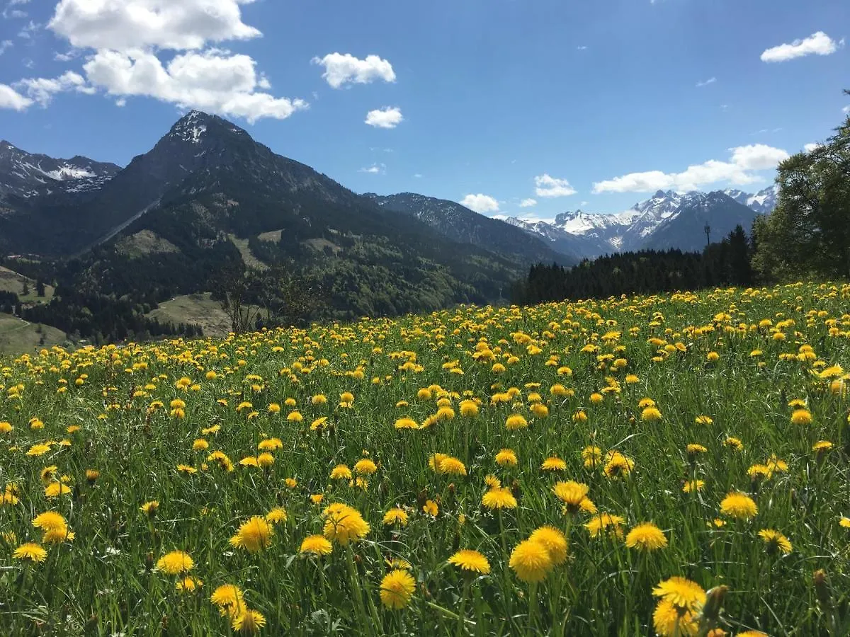 Apartment Bergfex Ifenblick Mit Sommer-Bergbahnticket Oberstdorf Germany